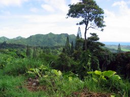 Hawaii &raquo; Oahu &raquo; Kaneoha