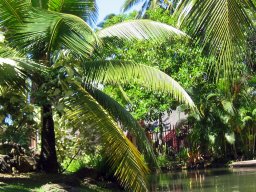 Polynesian Cultural Center