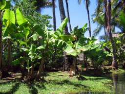 Polynesian Cultural Center