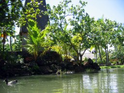 Polynesian Cultural Center