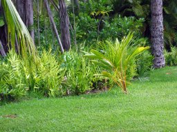 Polynesian Cultural Center