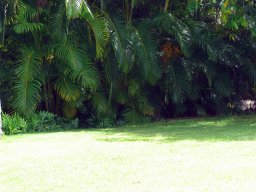 Polynesian Cultural Center
