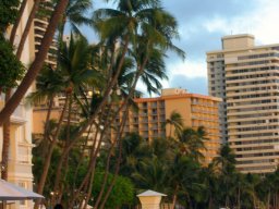 Waikiki